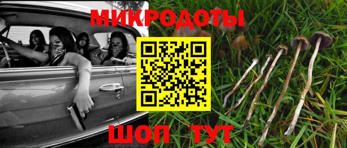 Галлюциногенные грибы Psilocybine cubensis Воткинск