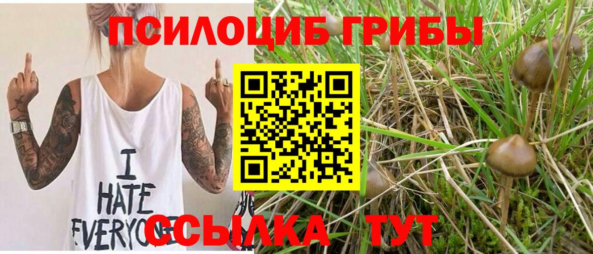 Воткинск  Галлюциногенные грибы Psilocybine cubensis  хочу наркоту  Вход с VPN 